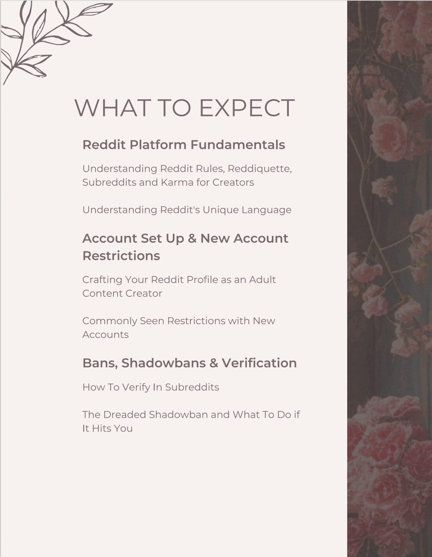 Demystifying Reddit: A Creator's Inside Track to Promotion - Image 2