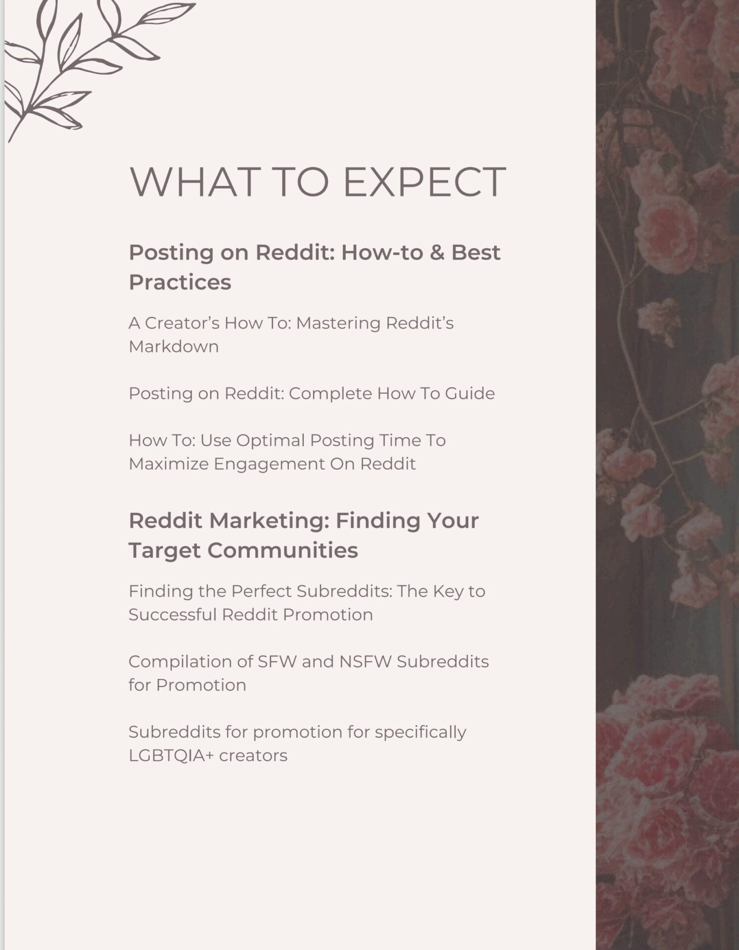 Demystifying Reddit: A Creator's Inside Track to Promotion - Image 3