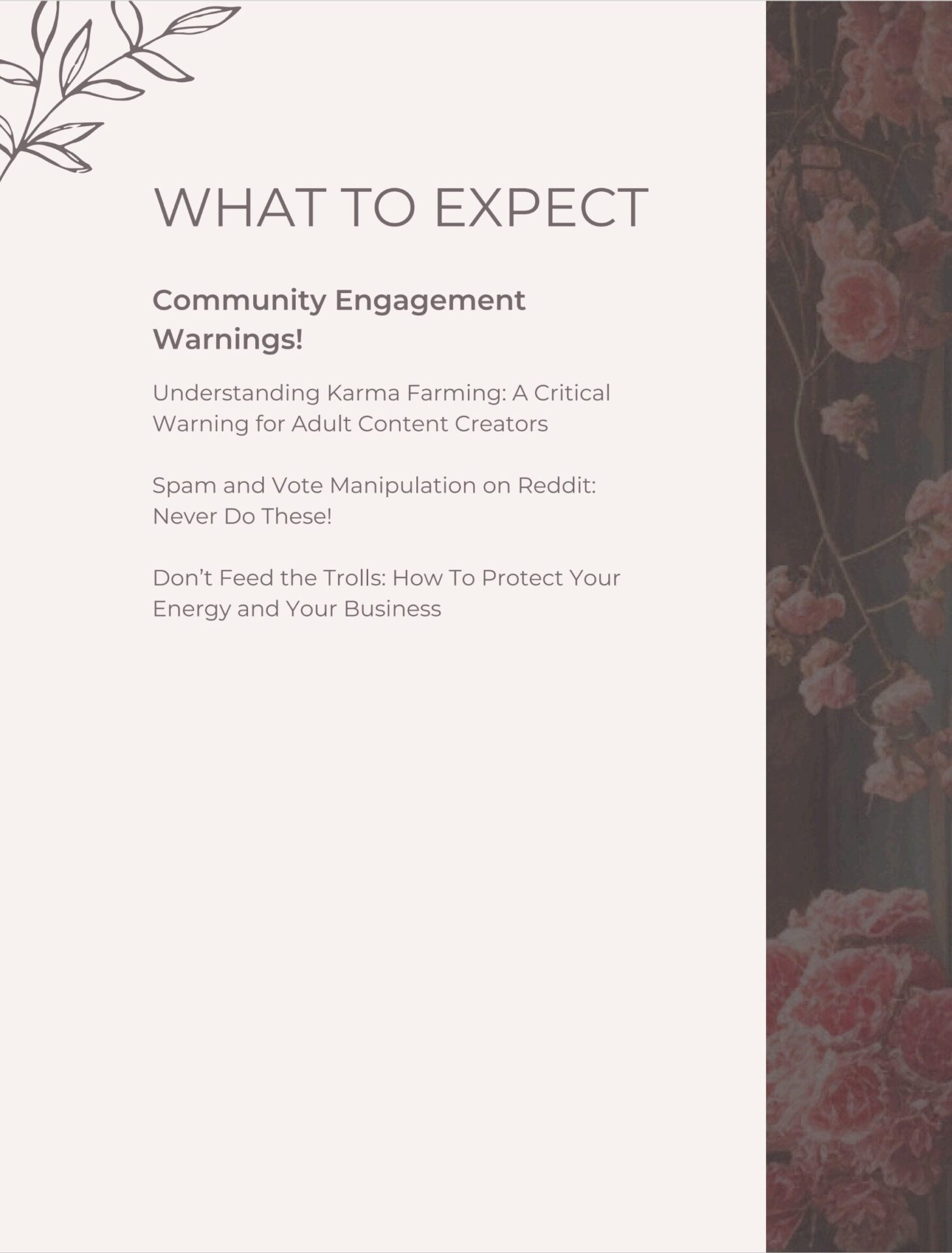 Demystifying Reddit: A Creator's Inside Track to Promotion - Image 4